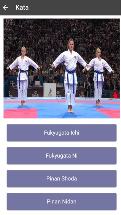 Karate-Do poster