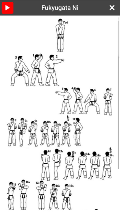 Karate-Do poster