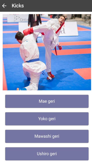 Karate-Do poster