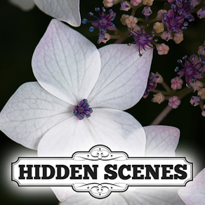 Hidden Scenes - Country Garden