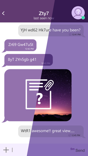 StealthChat: Encrypted Chats
