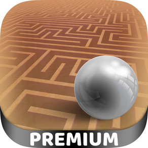 3D Labyrinth classic maze games - Pro