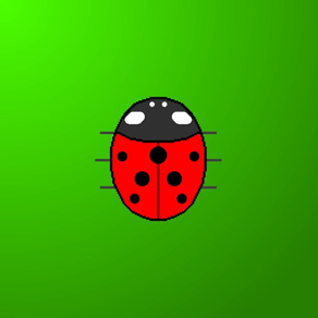 Touch the Ladybird