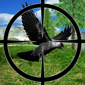 Crow Bird Hunter 2016
