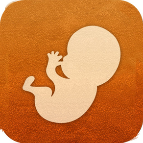 MyAngel 2 - Pregnancy and Infant care