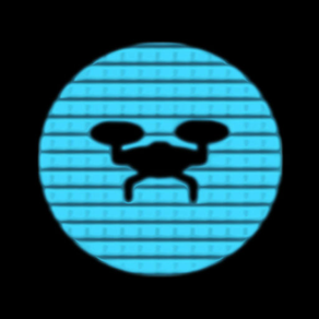 CityDrone