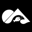 LakeMonster: Fishing AI