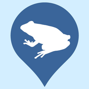 Regional Amphibians