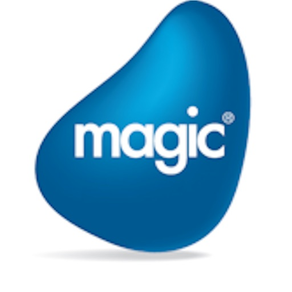 Magic xpa 2.5 Client 日本語版