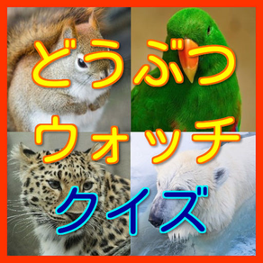 動物ウォッチクイズ