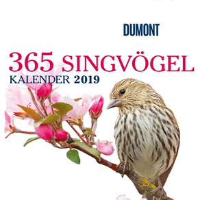365 Singvögel 2019 – DuMont
