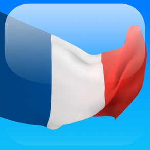 French in a Month: Flashcards