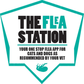 The Flea Station
