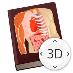 Anatomy Lesson 3D: Human Body