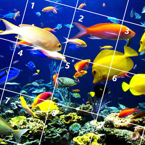 Fish Jigsaw Puzzles