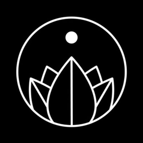 Black Lotus Yoga