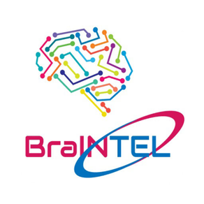 BraINTEL Puzzle