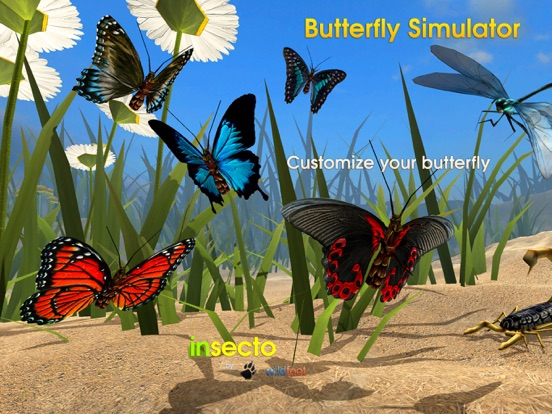 Butterfly Simulator poster