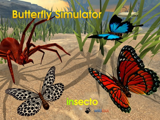 Butterfly Simulator poster
