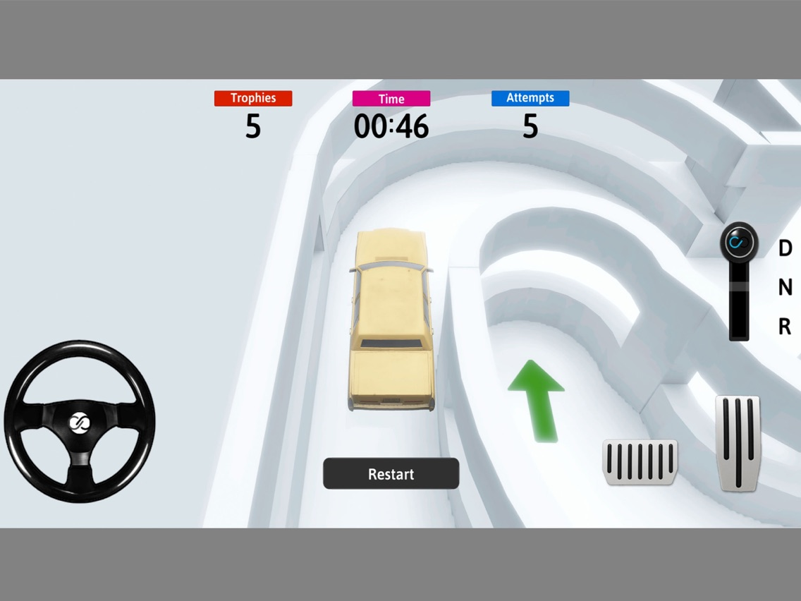 Real Driving Simulator Game poster