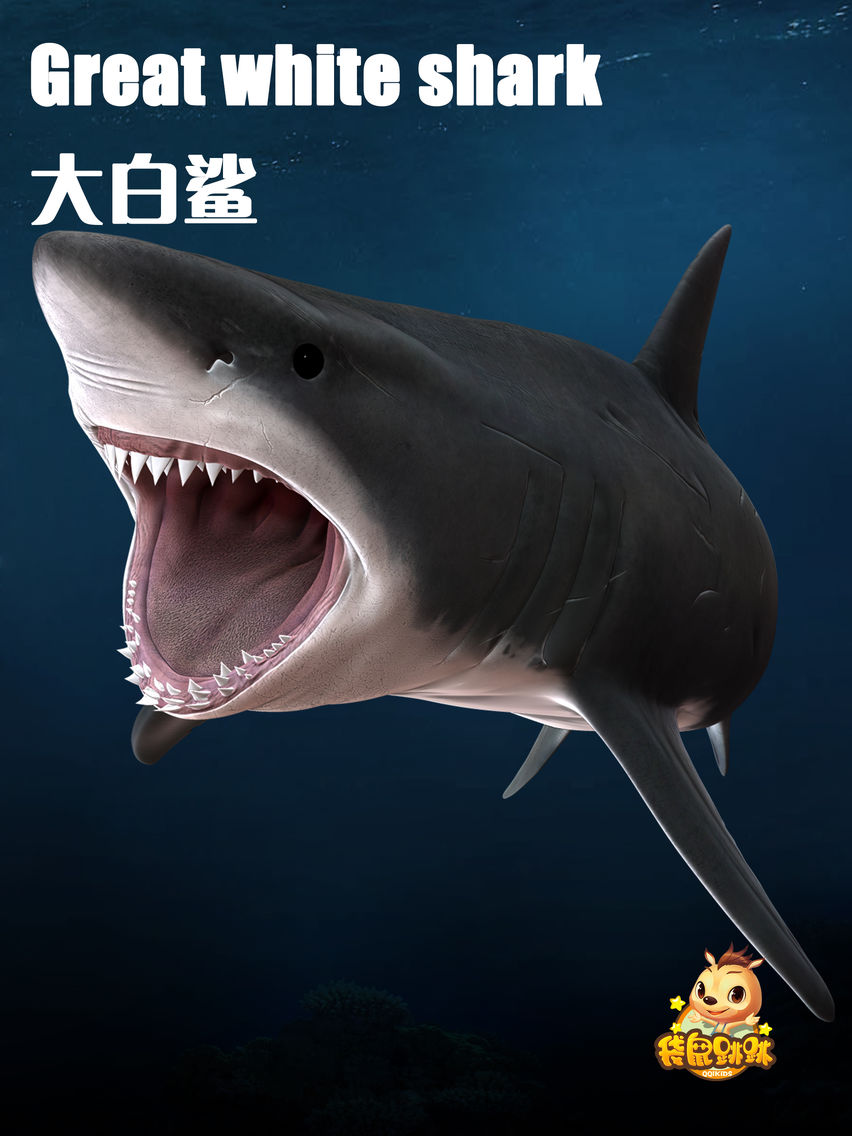 大白鲨-袋鼠跳跳 poster
