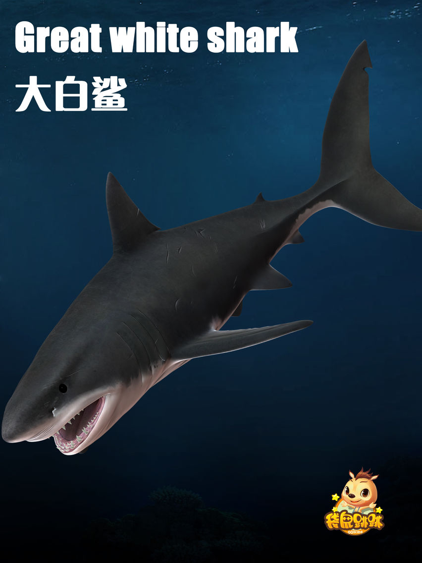 大白鲨-袋鼠跳跳 poster