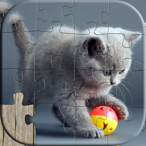 Cat Puzzles for Kids - Relaxing photo picture jigsaw puzzles for kids and adults