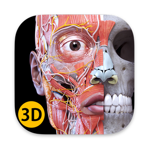 Anatomia - Atlas 3D