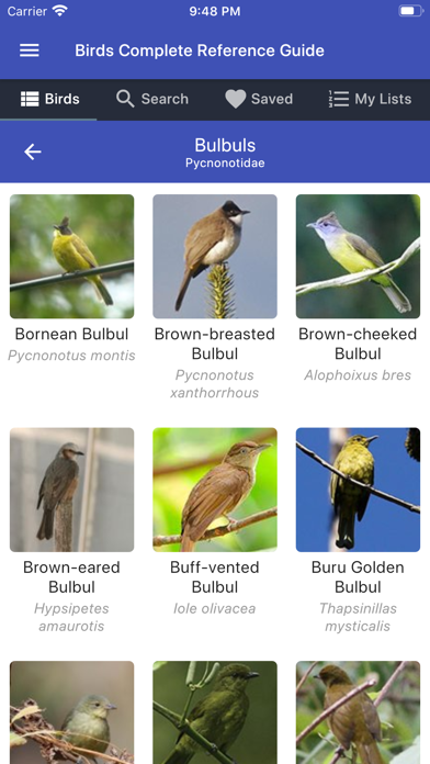 Birds Complete Reference Guide poster