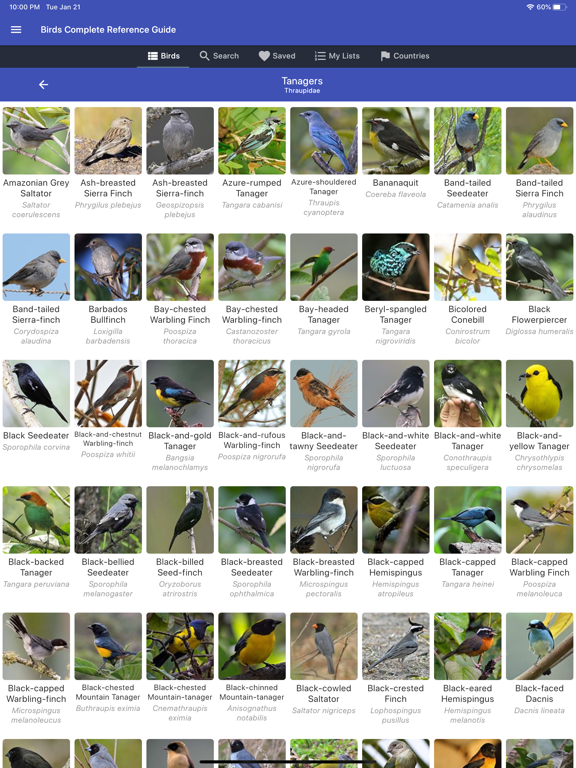 Birds Complete Reference Guide poster
