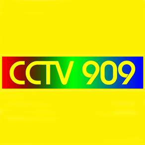 CCTV 909