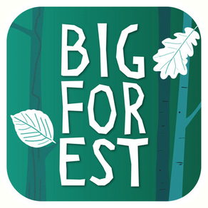 BigForest