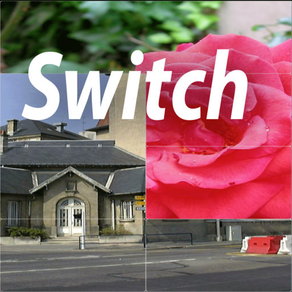 Switch