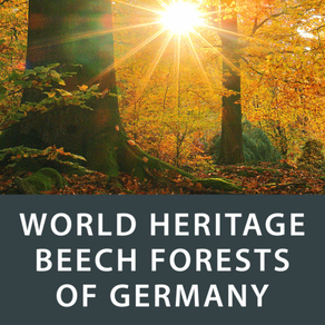 World Heritage Beech Forests of Germany