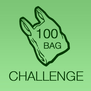 100 Bags Challenge Counter