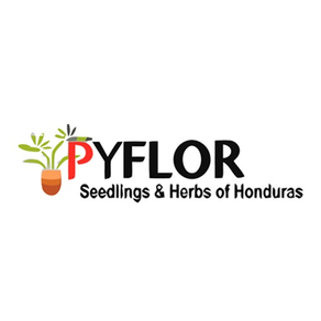 Pyflor