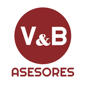 V&B Asesores