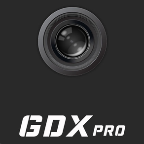 GDXPRO