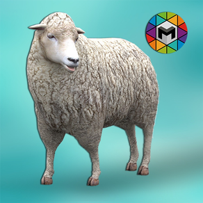 My Sheep Simulator