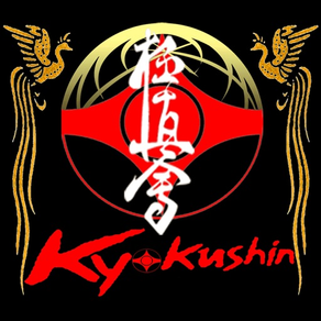 iBudokan Kyokushinkai