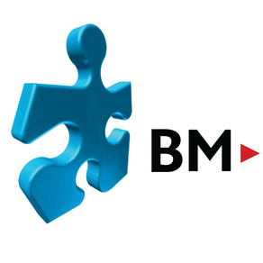 BM-Advisering en Accountancy