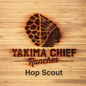 YCR Hop Scout