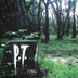 P.T. for PC icon