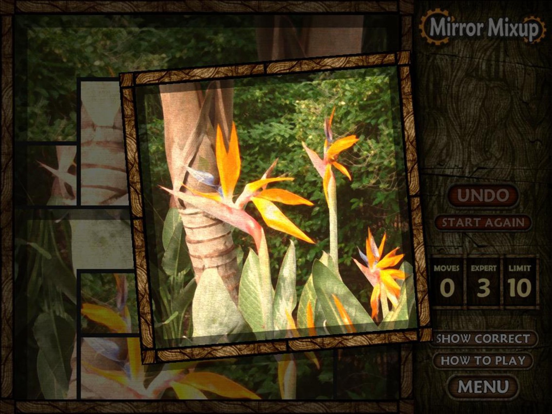 Mirror Mixup poster