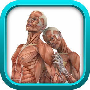 Medical Physiology Review Game : USMLE Step 1 & COMLEX Level 1 (SCRUB WARS) FULL