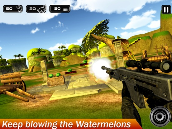 Watermelon Gun Sharpshooter poster