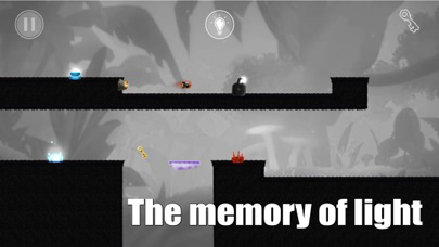 Light Memory. poster