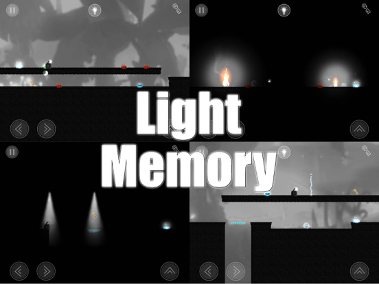 Light Memory. poster