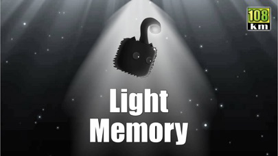 Light Memory. poster