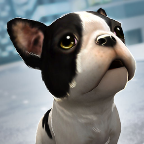 My Puppy Dog: Animal Runner 3D